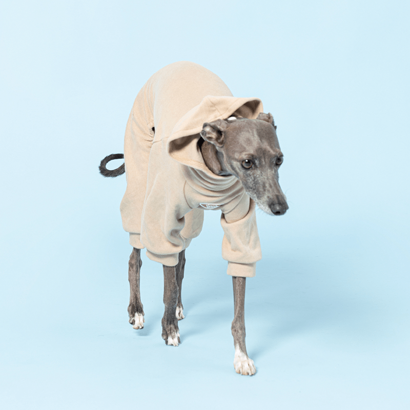 Anti Static Fleece Bedlington Dog Onesies