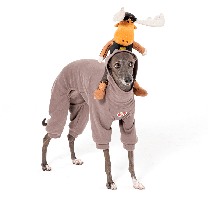 Anti Static Fleece Bedlington Dog Onesies