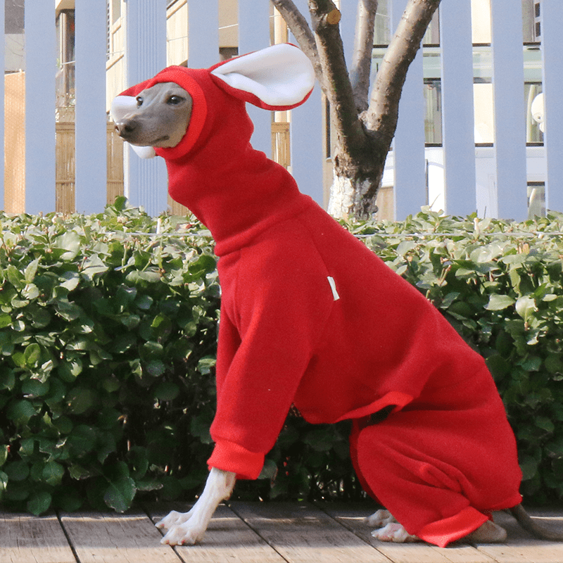 Warm Fleece Dog Onesie Hoodie
