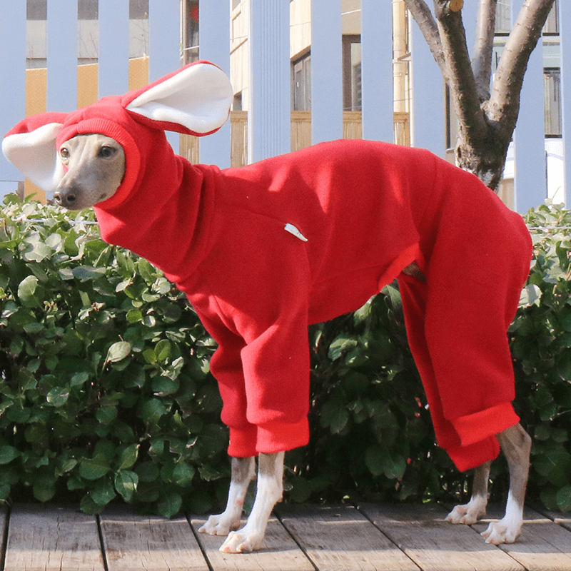 Warm Fleece Dog Onesie Hoodie