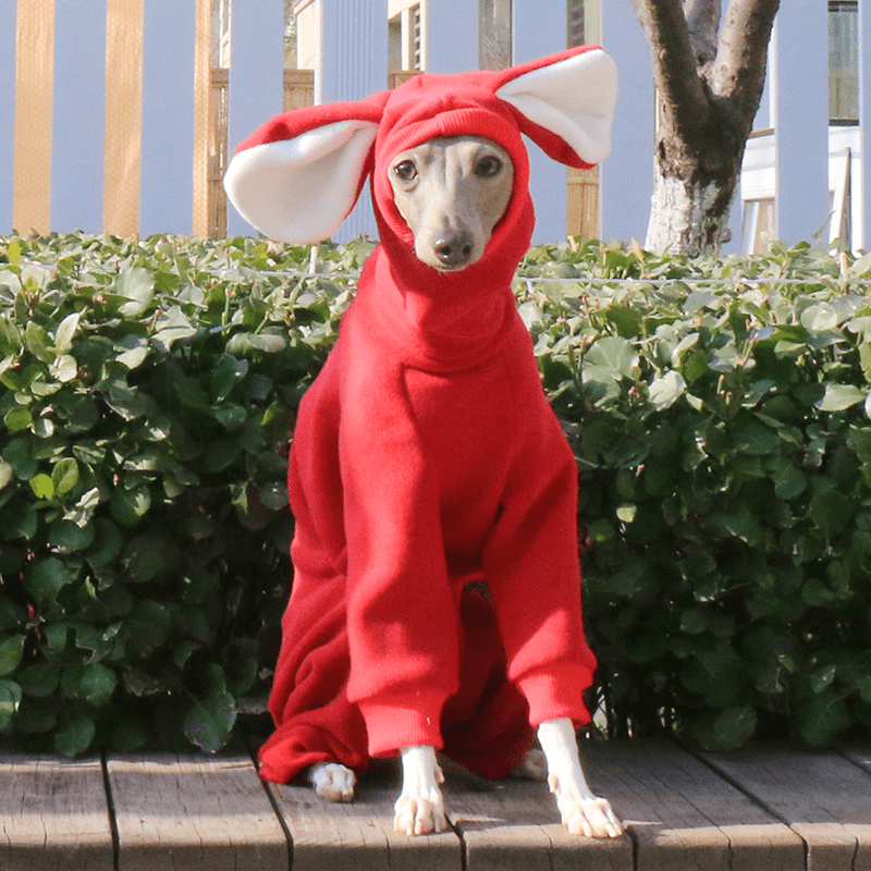 Warm Fleece Dog Onesie Hoodie