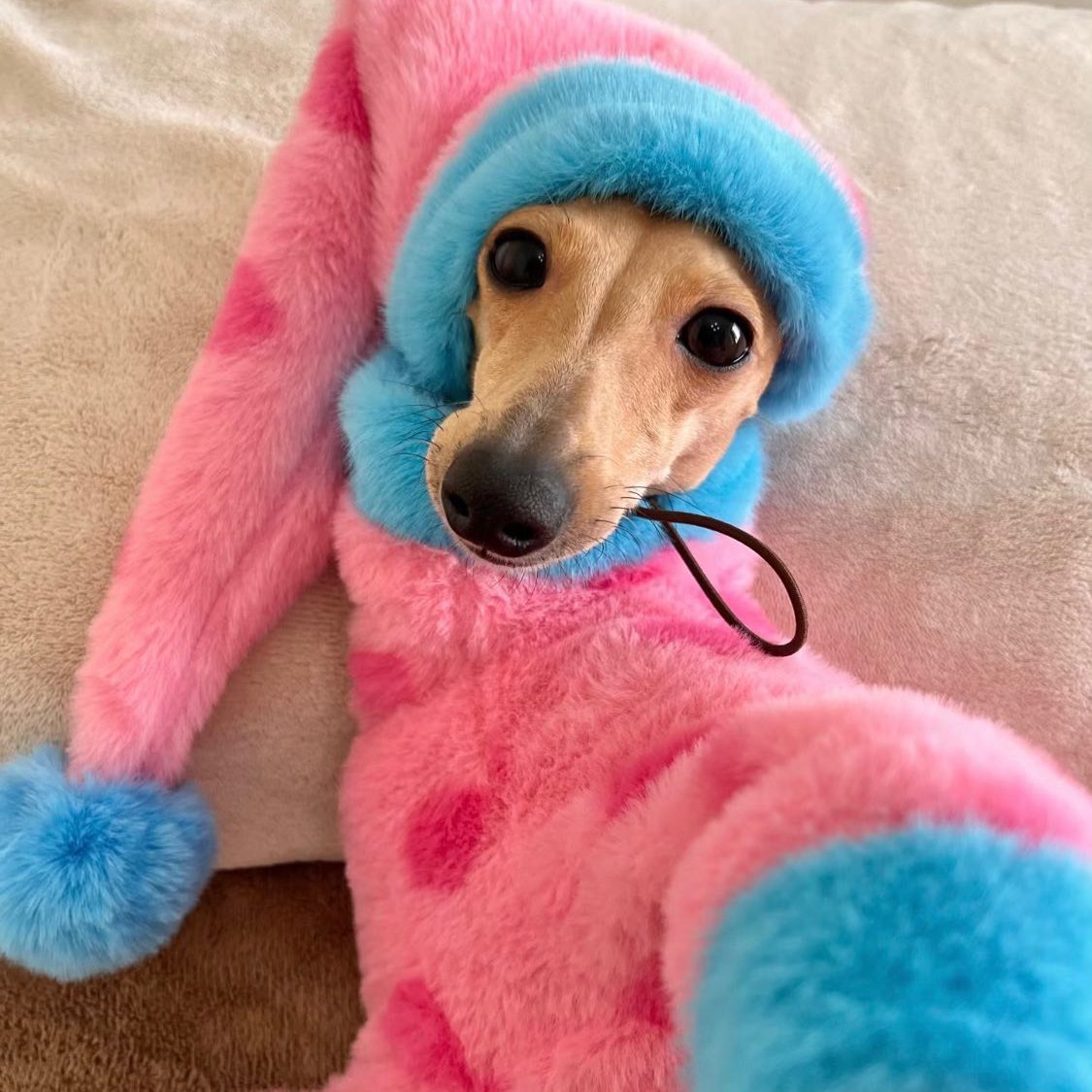 Soft Faux Fur Italian Greyhound Onesie