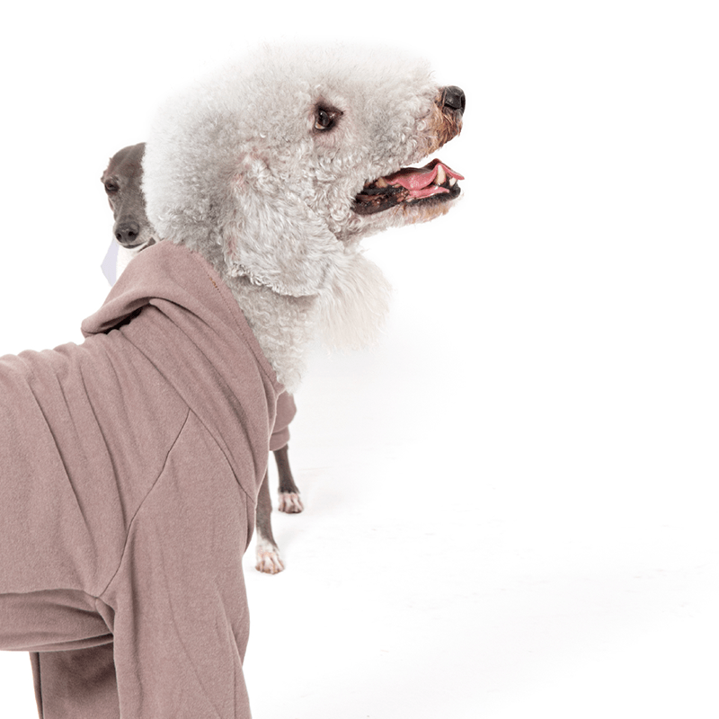 Anti Static Fleece Dog Onesies Bedlington