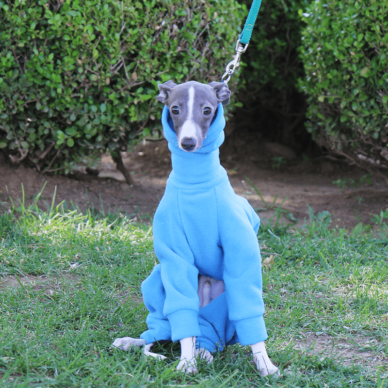 Warm Fleece Italian Greyhound Dog Onesies
