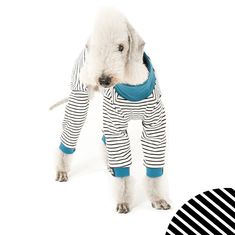 Striped Cotton Bedlington Dog Onesie
