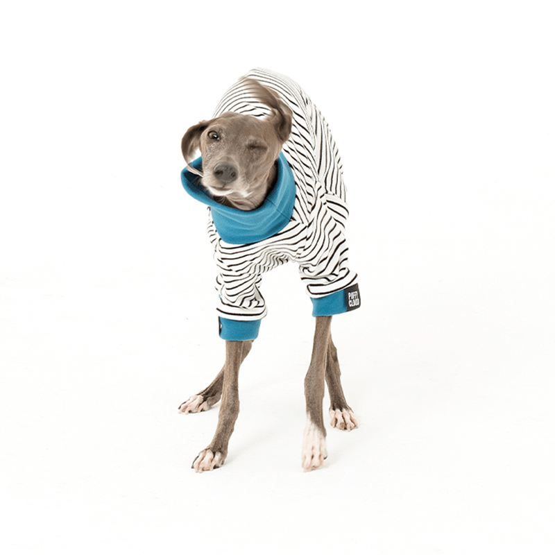 Warm Cotton Italian Greyhound Dog Onesies