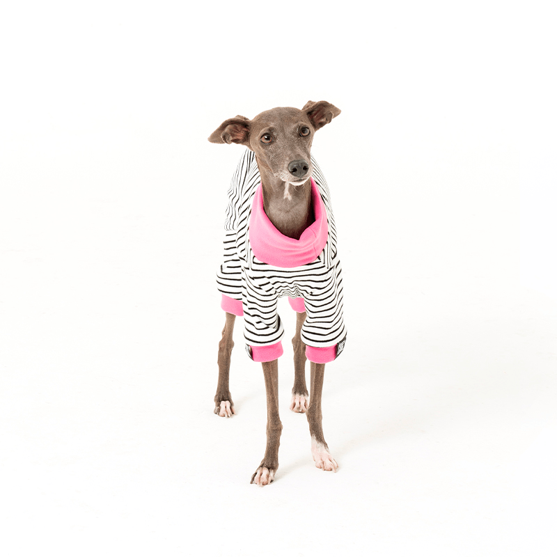 Warm Cotton Italian Greyhound Dog Onesies