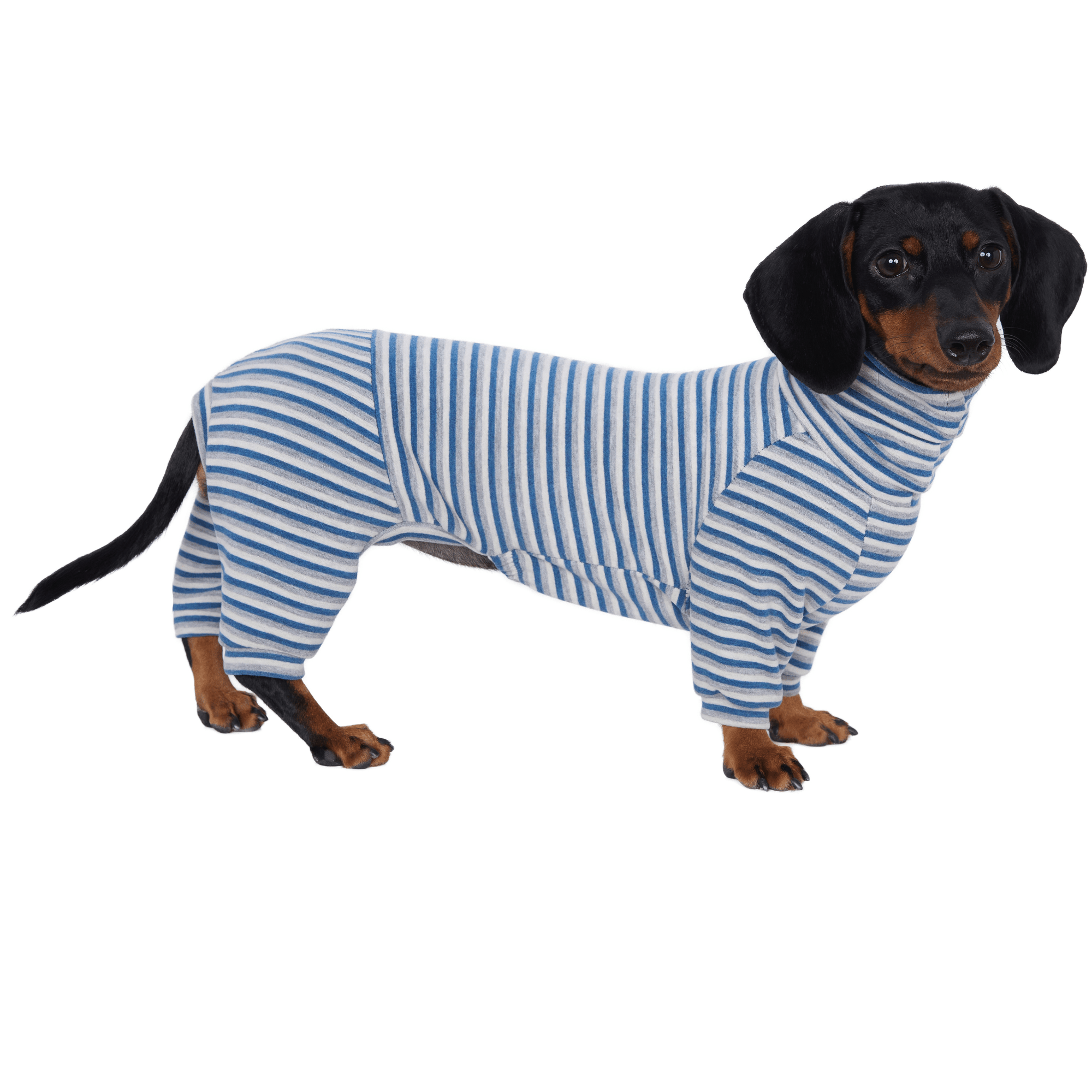 Warm Wool Anti Static Dachshund Onesies