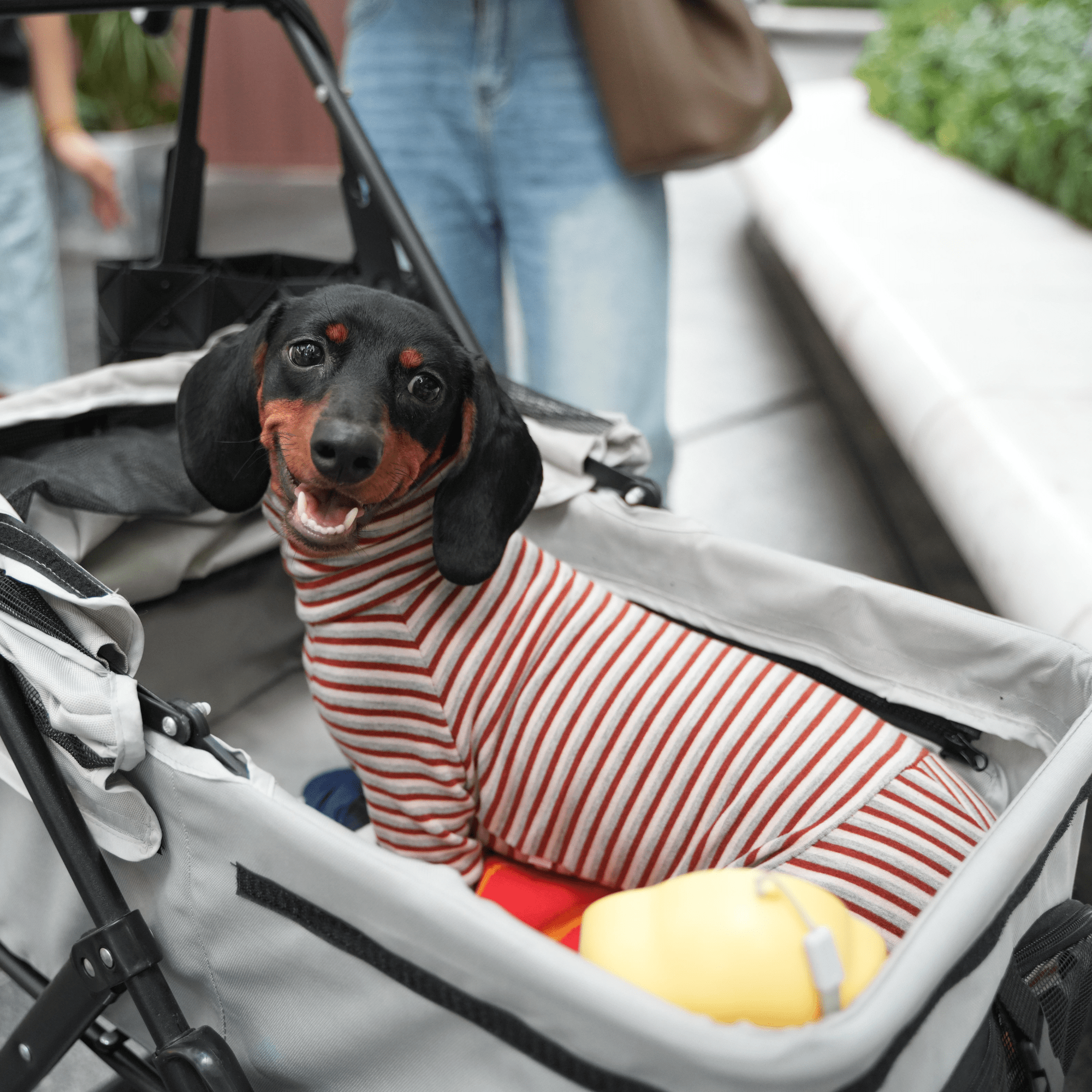 Warm Wool Anti Static Dachshund Onesies