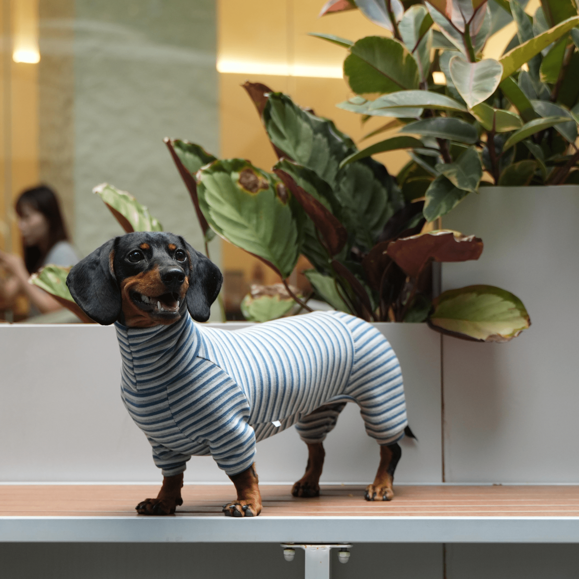 Warm Wool Anti Static Dachshund Onesies