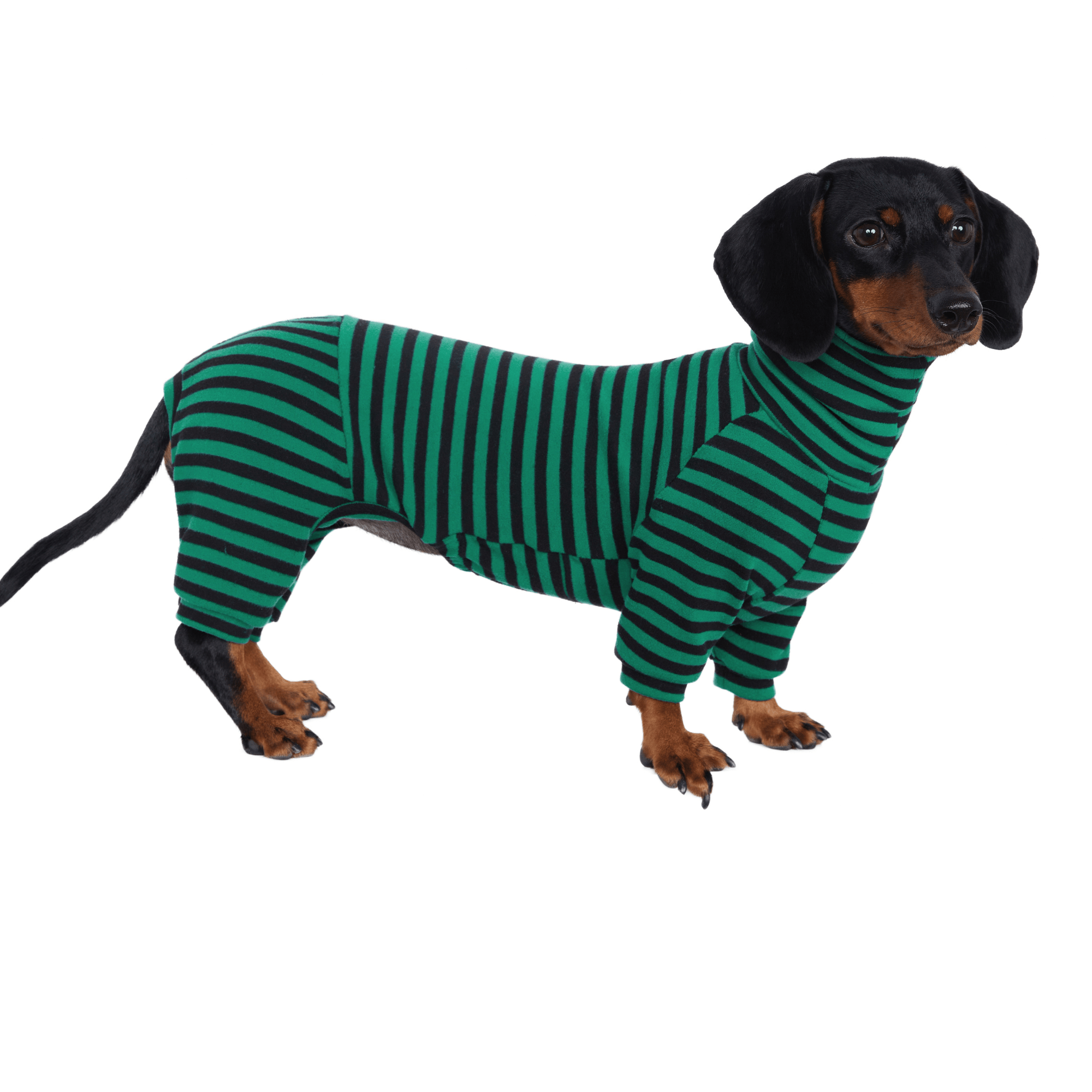 Warm Wool Anti Static Dachshund Onesies
