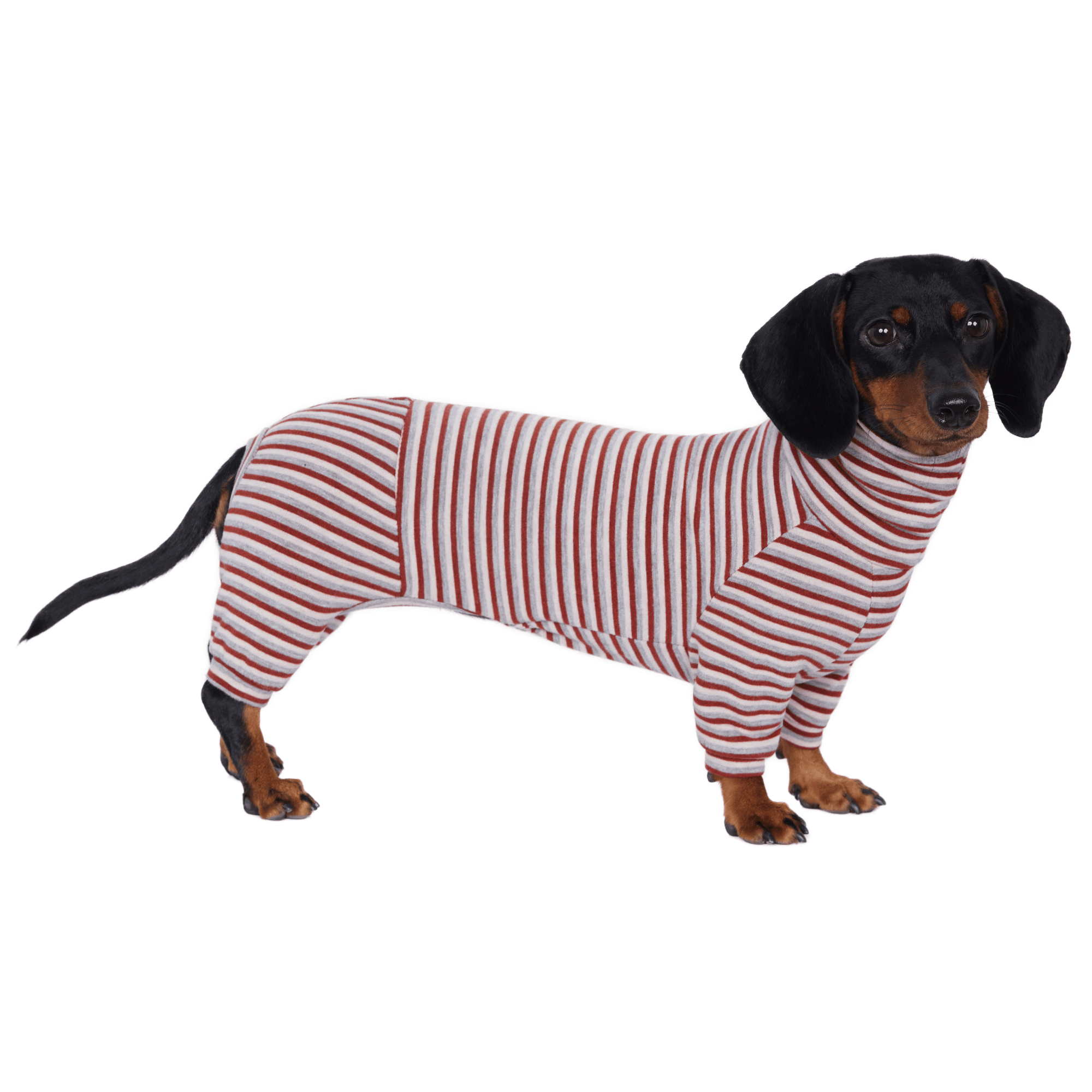 Warm Wool Anti Static Dachshund Onesies
