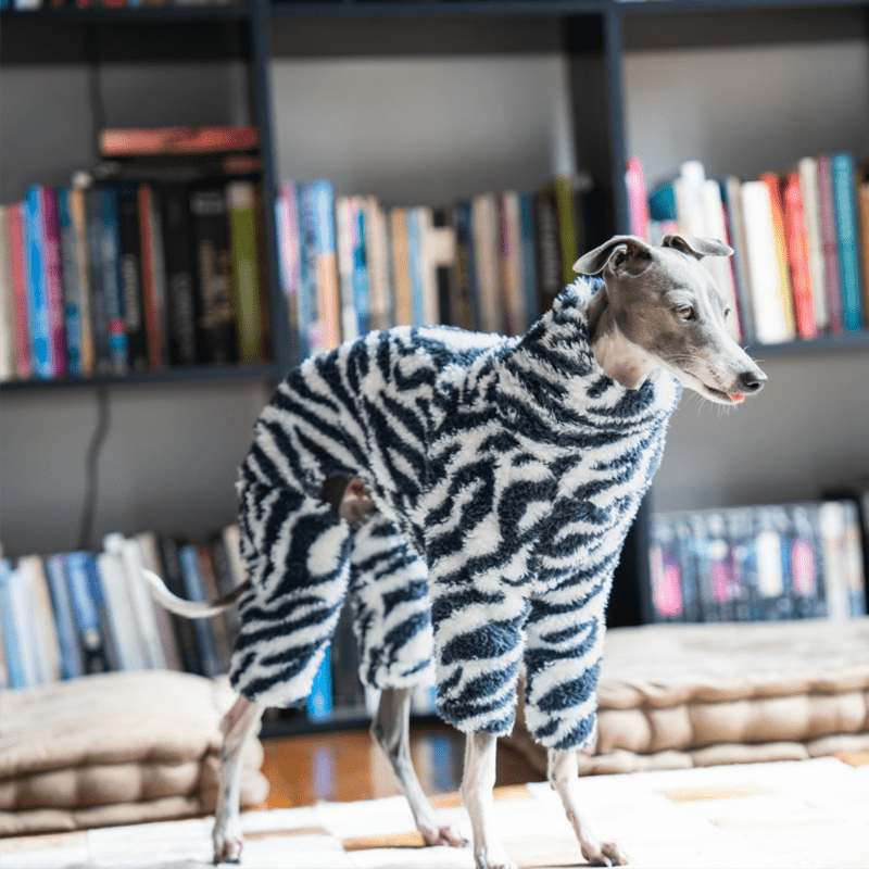 Warm Zebra Dog Onesies Italian Greyhound