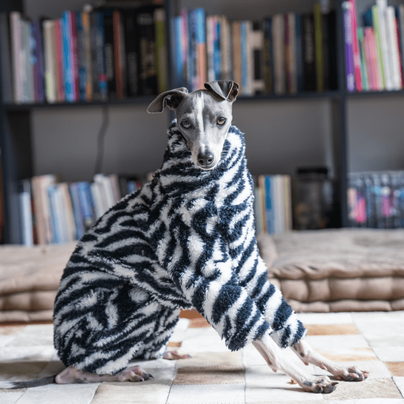 Warm Zebra Dog Onesies Italian Greyhound