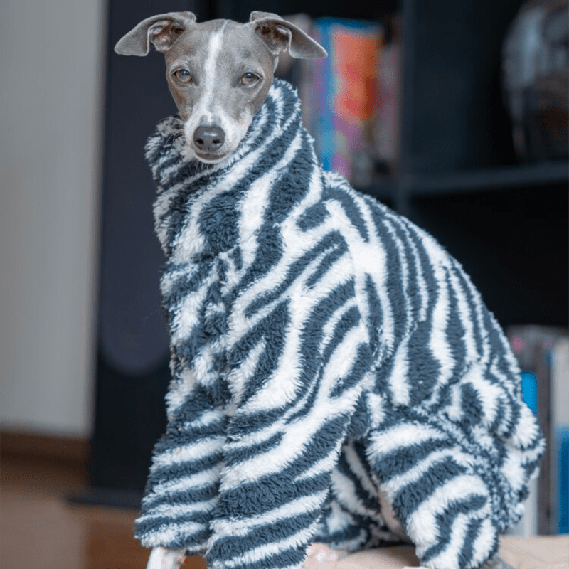 Warm Zebra Dog Onesies Italian Greyhound