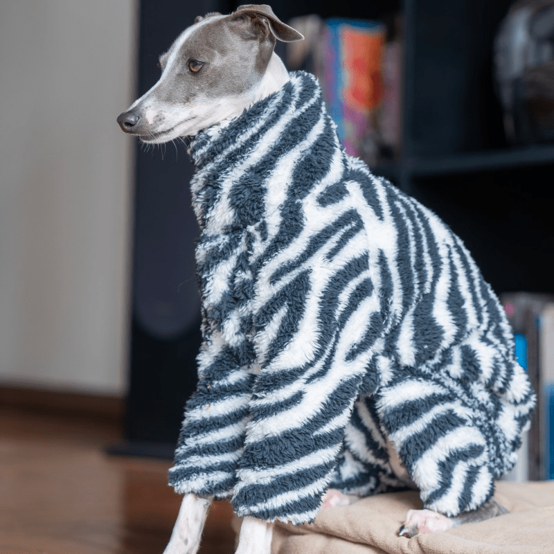 Warm Zebra Dog Onesies Italian Greyhound