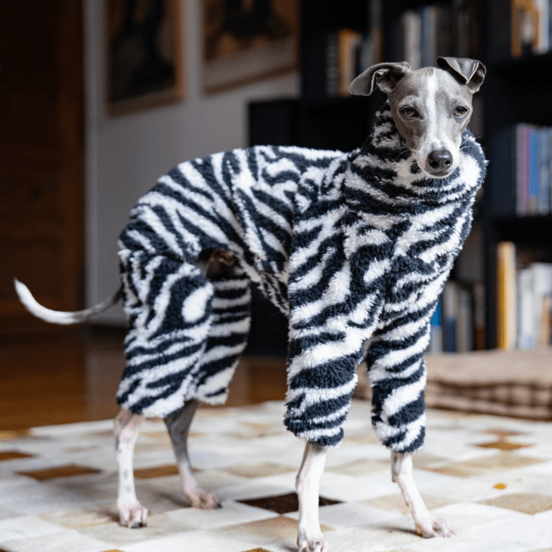 Warm Zebra Dog Onesies Italian Greyhound