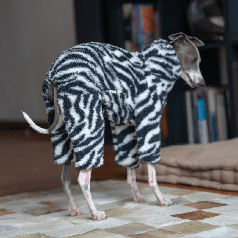 Warm Zebra Dog Onesies Italian Greyhound