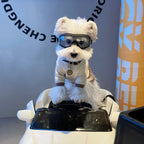 Windproof Dog Outdoor Goggles Sunglasses