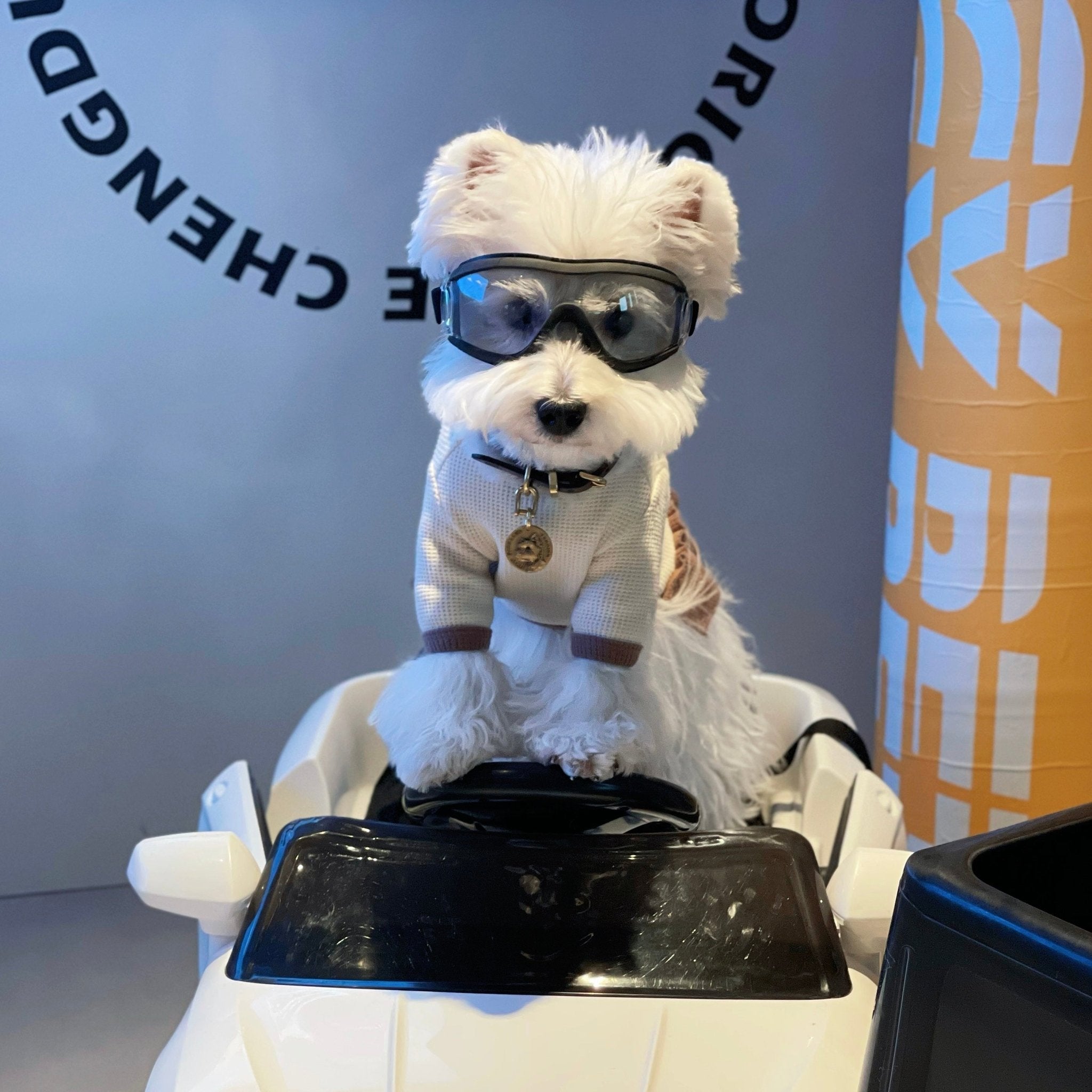 Windproof Dog Outdoor Goggles Sunglasses