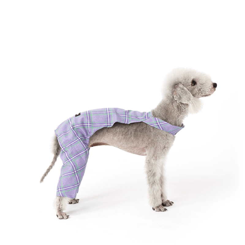 Anti Static Fleece Bedlington Dog Onesie