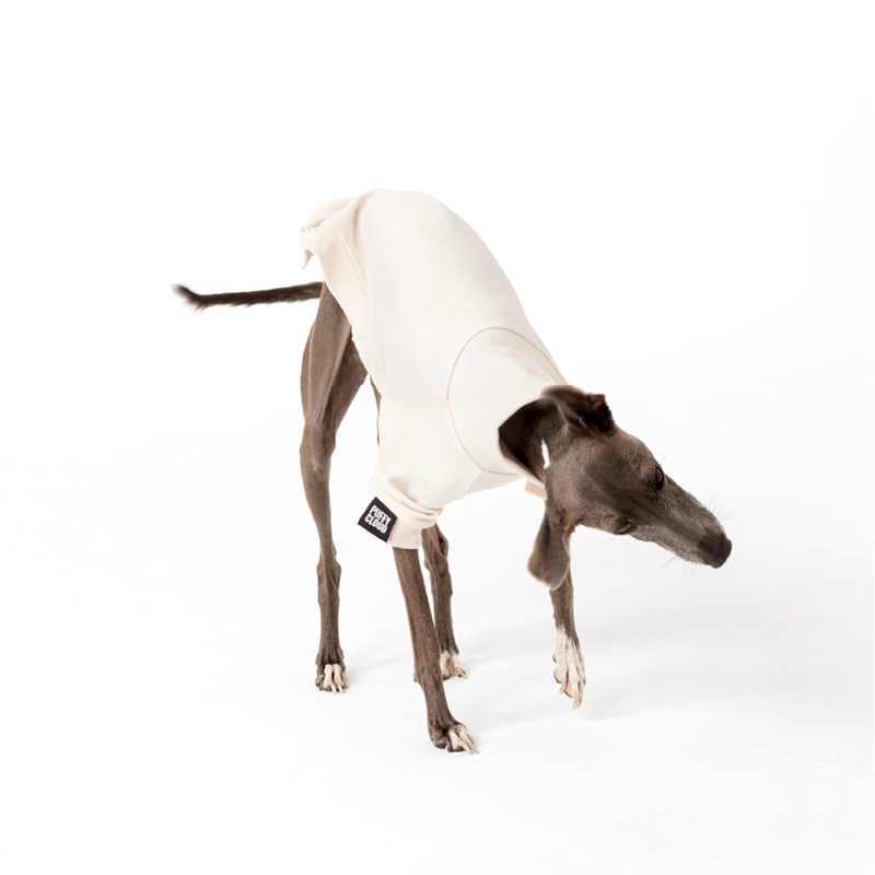 Warm Anti Static Dog Onesies Fleece