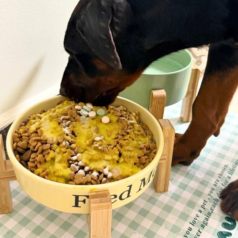 Slow Feeder Big Dog Ceramic Bowl