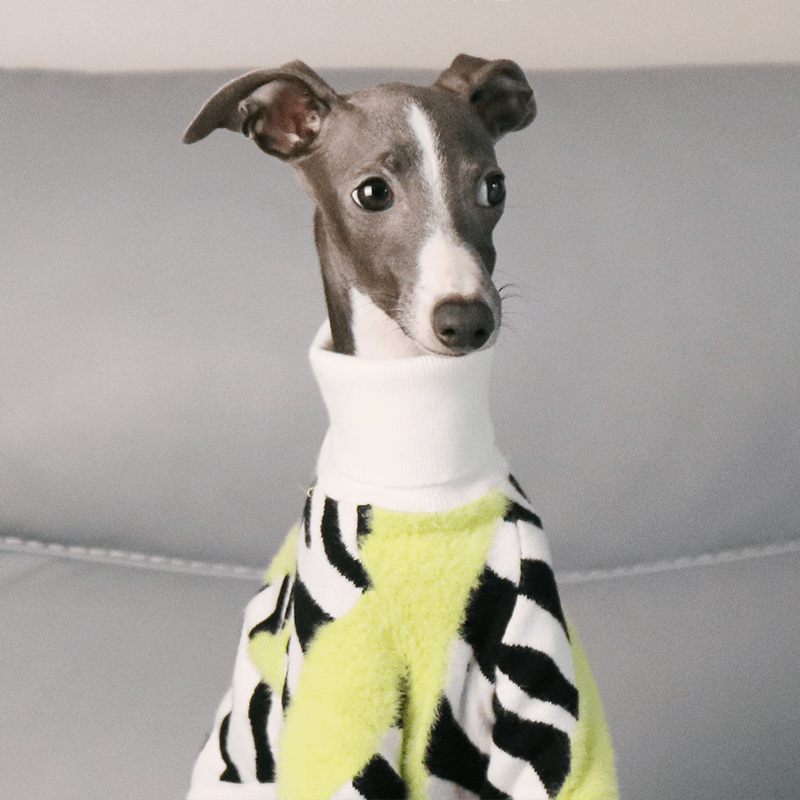 Cozy Italian Greyhound Dog Sweater