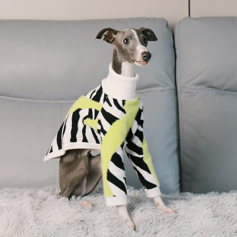 Cozy Italian Greyhound Dog Sweater