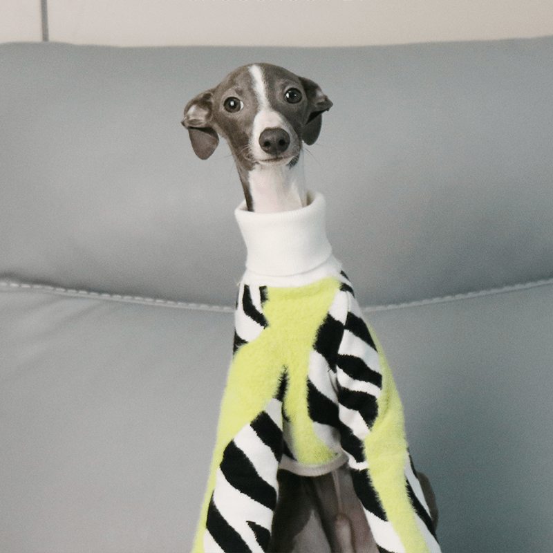 Cozy Italian Greyhound Dog Sweater