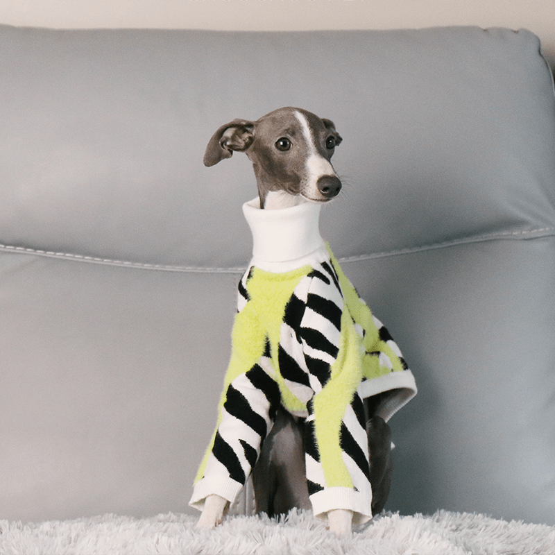 Cozy Italian Greyhound Dog Sweater