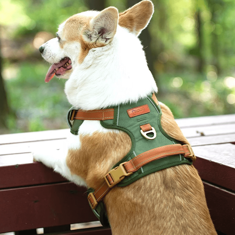 Escape Proof Dog Walking Harness