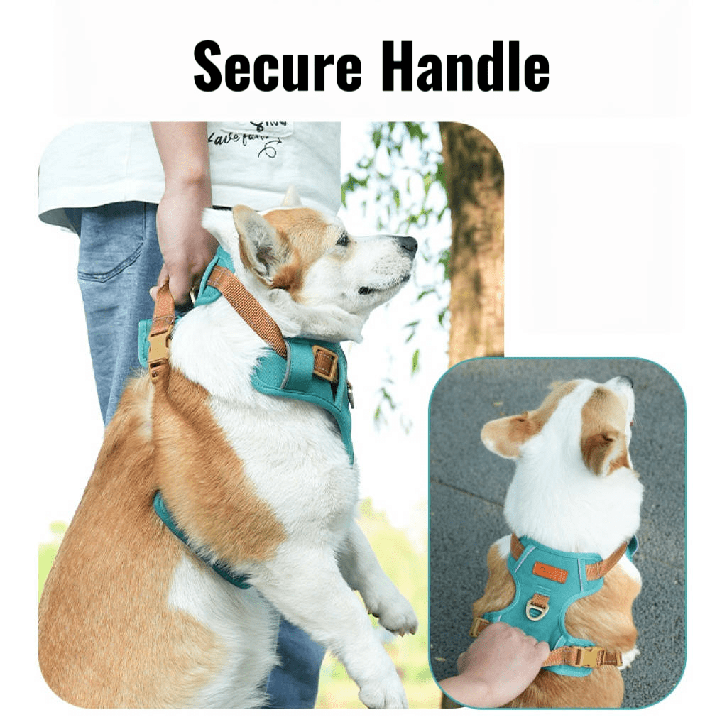 Escape Proof Dog Walking Harness