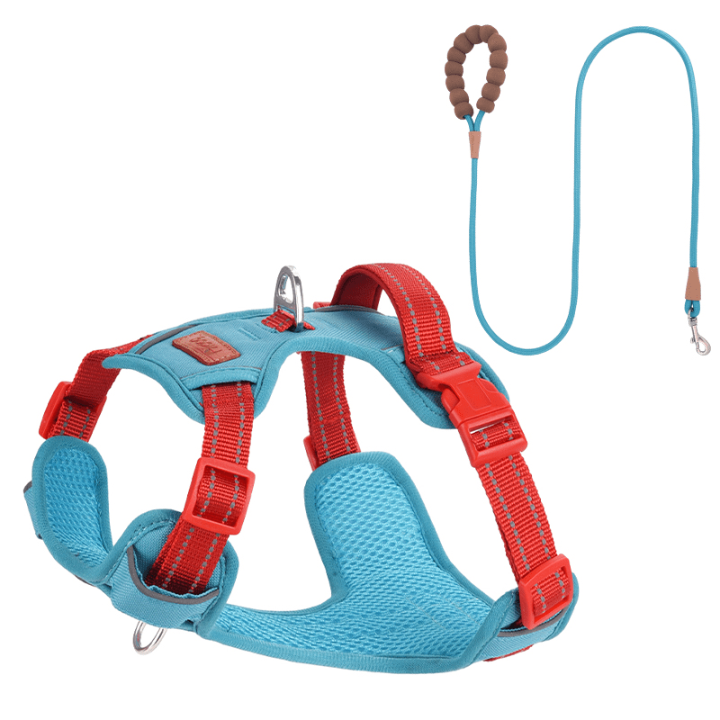 Escape Proof Dog Walking Harness
