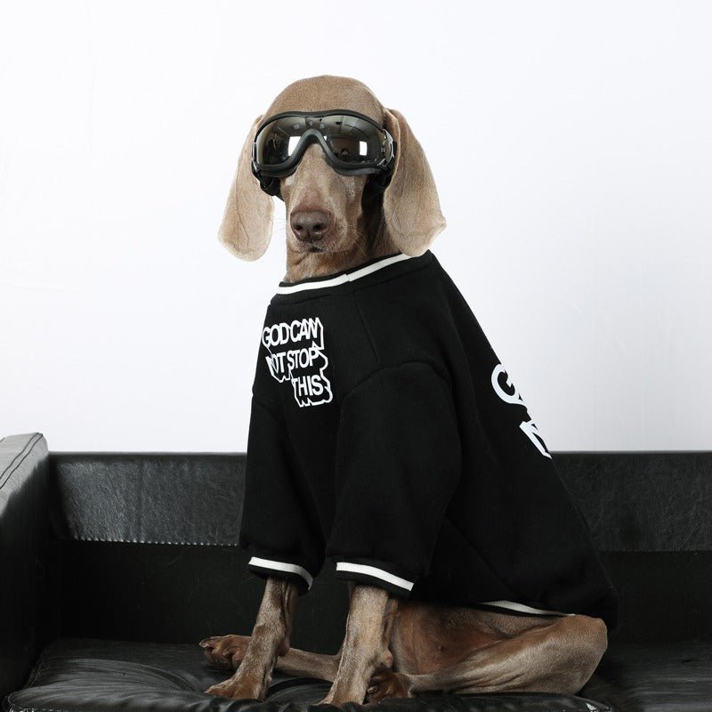 Windproof Dog Goggles Protective Durable