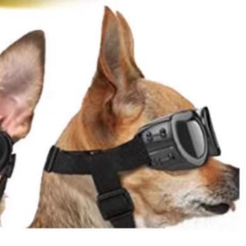 Windproof Dog Goggles Protective Durable