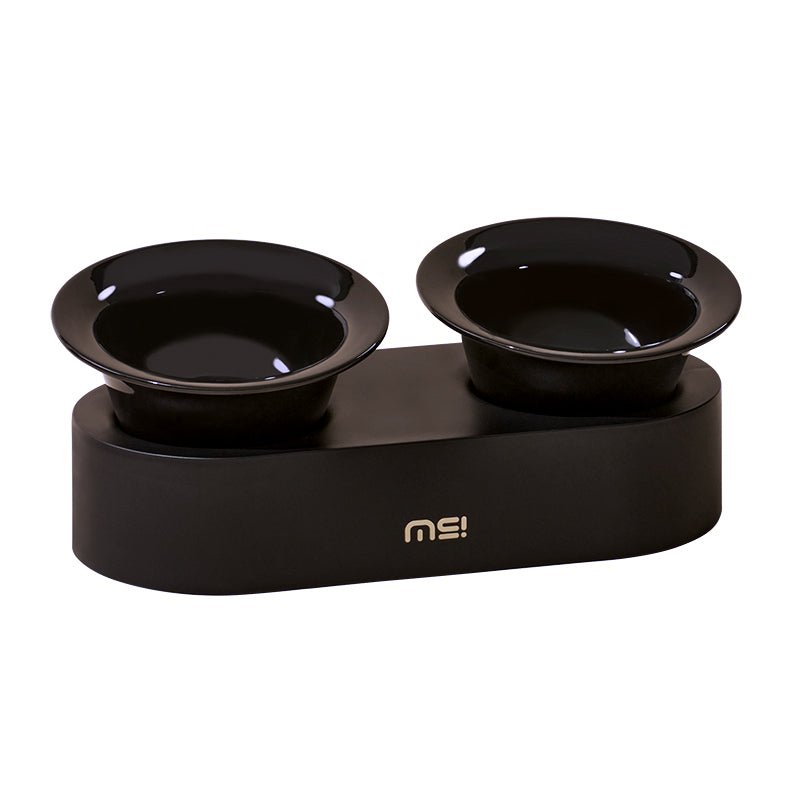 Elevated Double Ceramic Pet Bowl