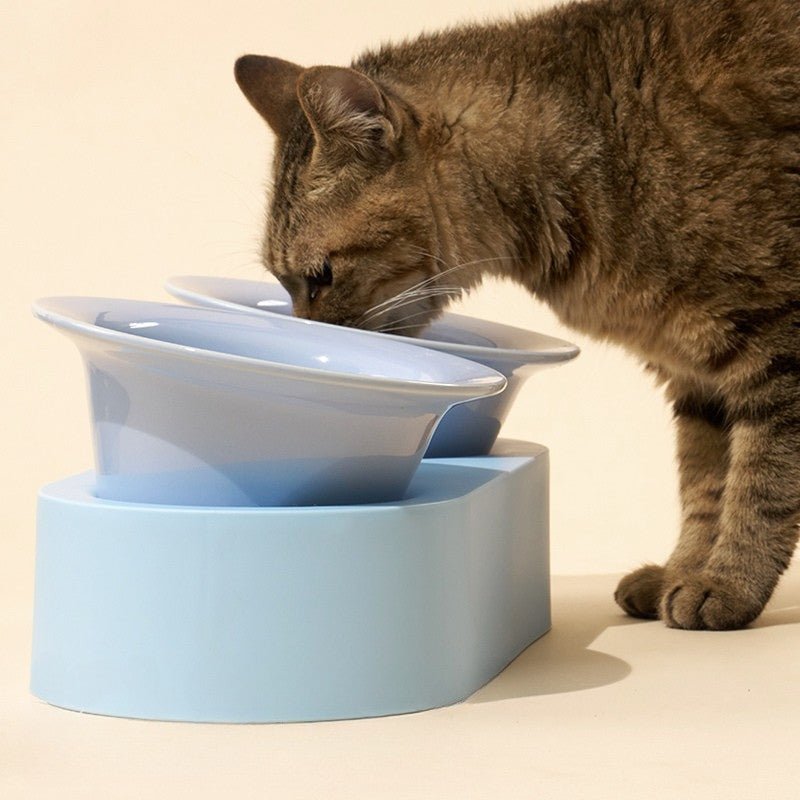 Elevated Double Ceramic Pet Bowl
