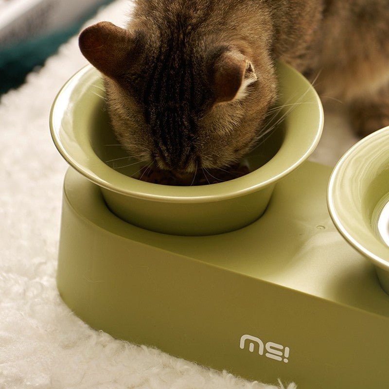 Elevated Double Ceramic Pet Bowl
