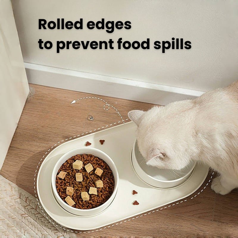 Sloped Double Pet Ceramic Bowl Set