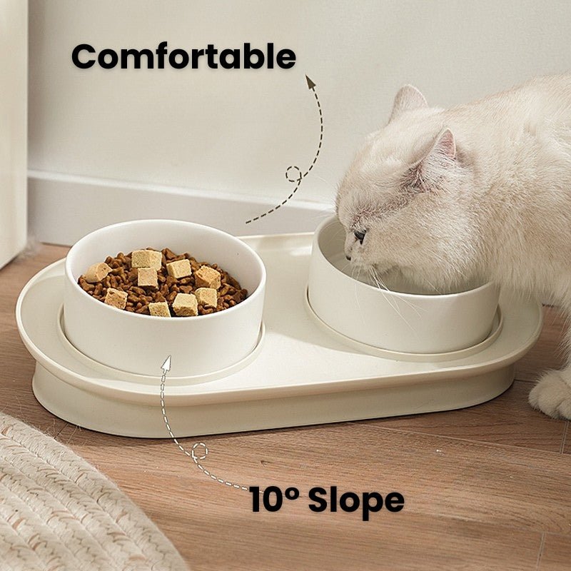 Sloped Double Pet Ceramic Bowl Set