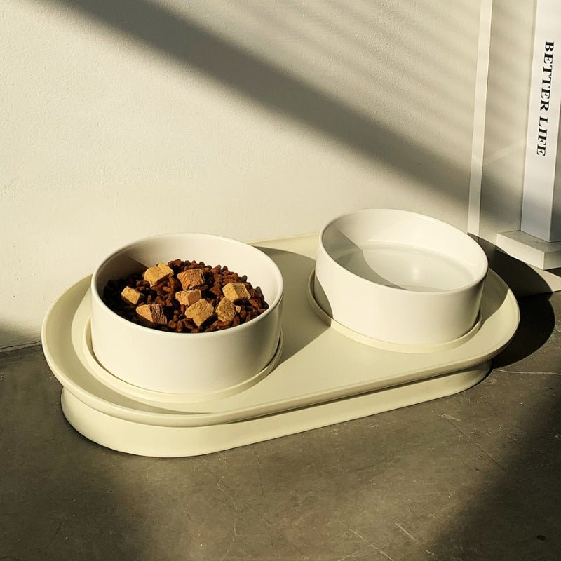 Sloped Double Pet Ceramic Bowl Set