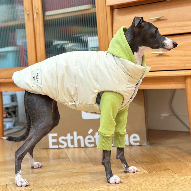 Luxurious Warm Italian Greyhound Dog Vest