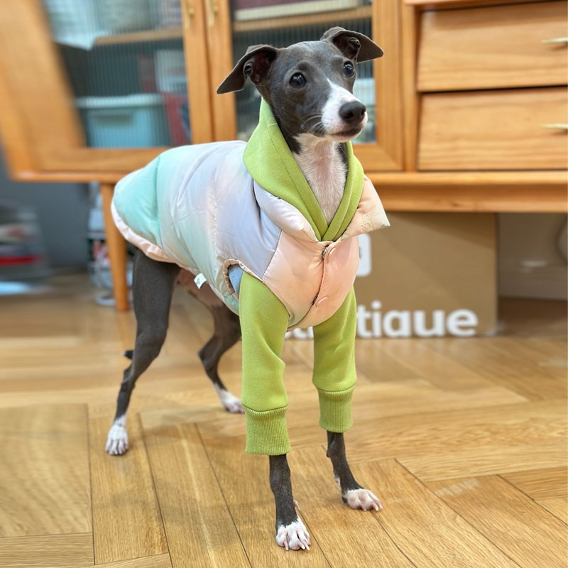 Warm Italian Greyhound Down Vest