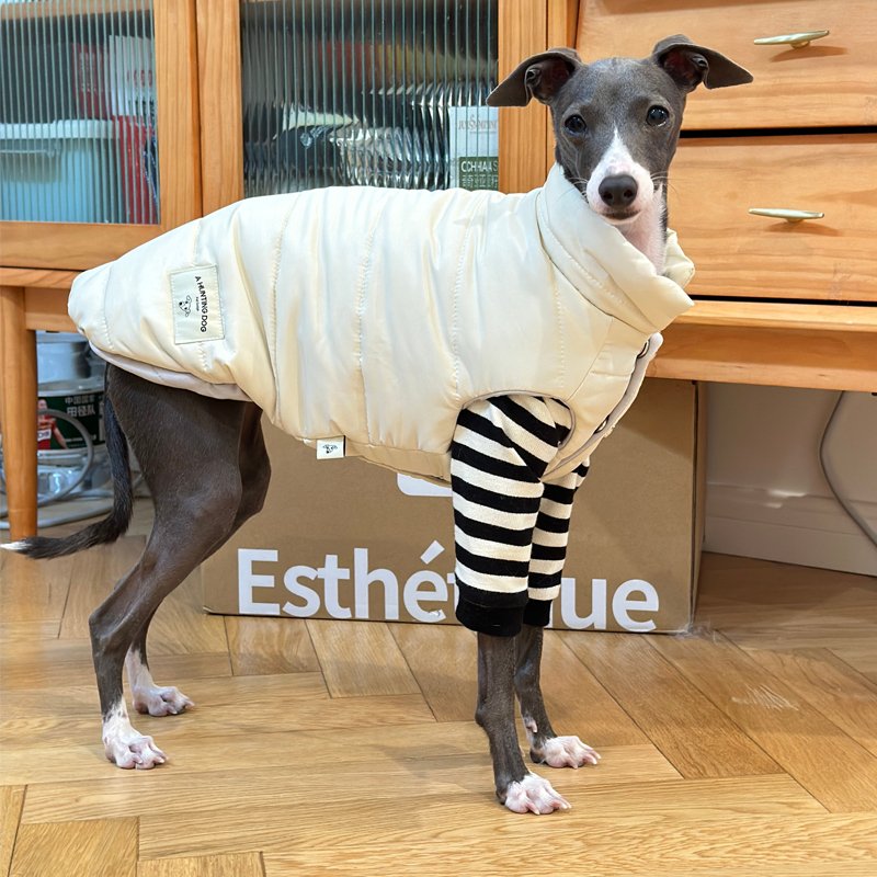 Luxurious Warm Italian Greyhound Dog Vest