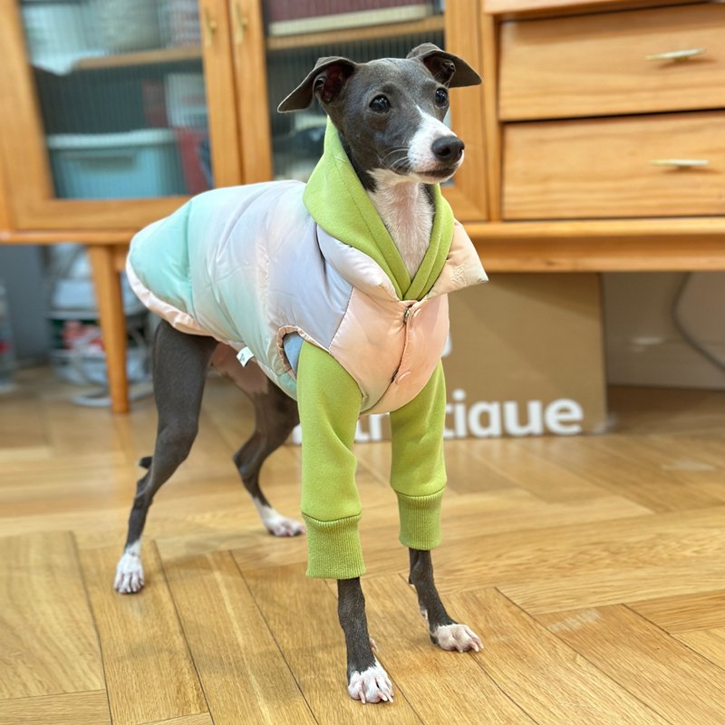 Warm Italian Greyhound Down Vest