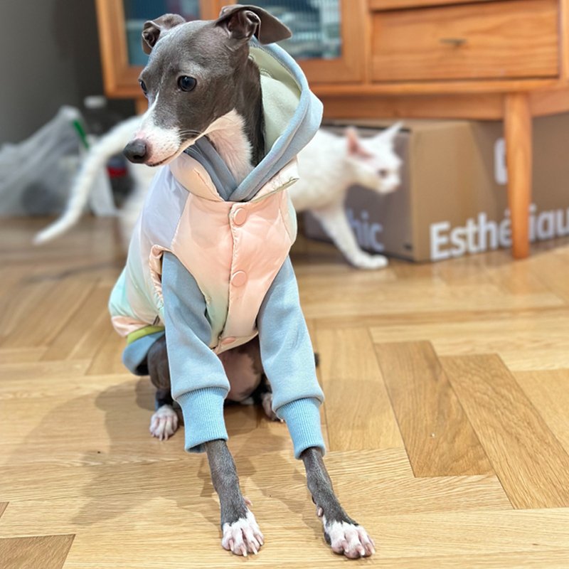 Warm Italian Greyhound Down Vest