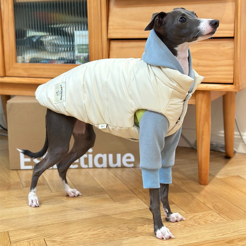 Luxurious Warm Italian Greyhound Dog Vest