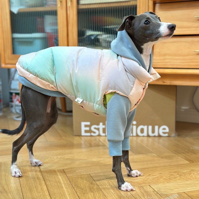 Warm Italian Greyhound Down Vest