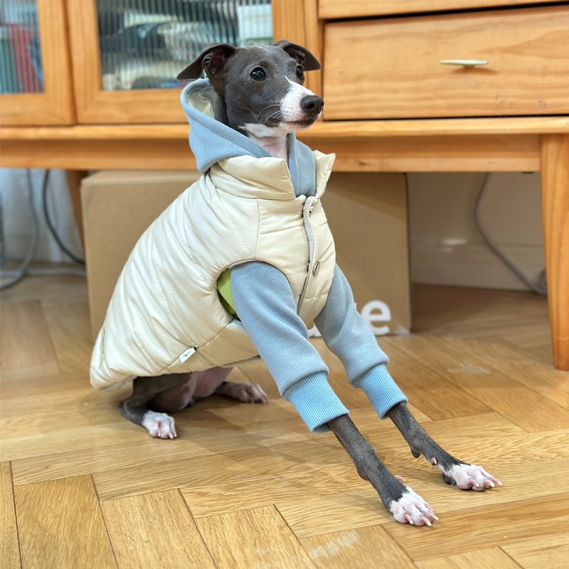 Luxurious Warm Italian Greyhound Dog Vest